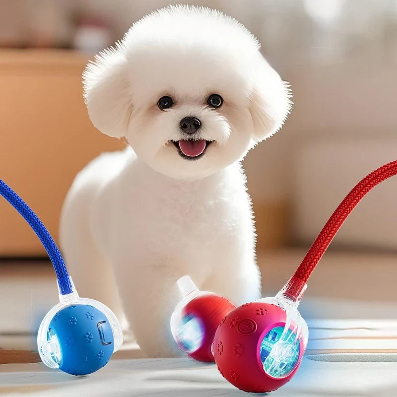 VibrollPaw Interactive Rolling Ball