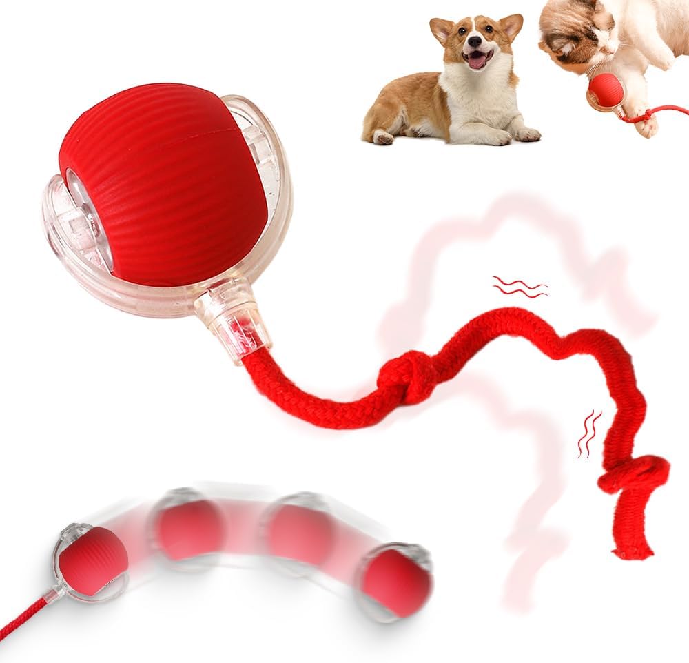 VibrollPaw Interactive Rolling Ball