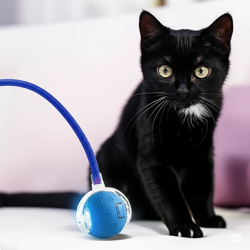 VibrollPaw Interactive Rolling Ball