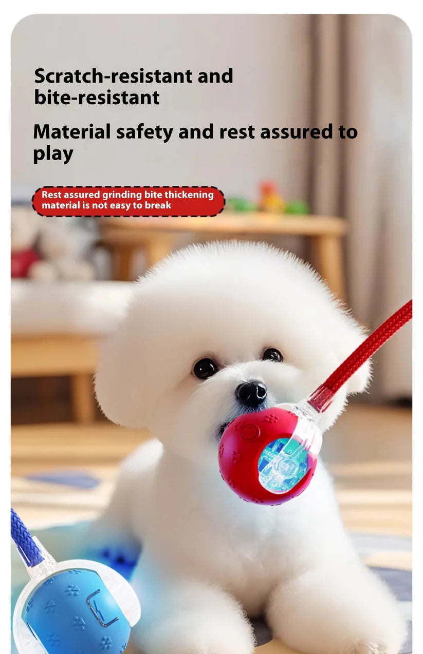 VibrollPaw Interactive Rolling Ball