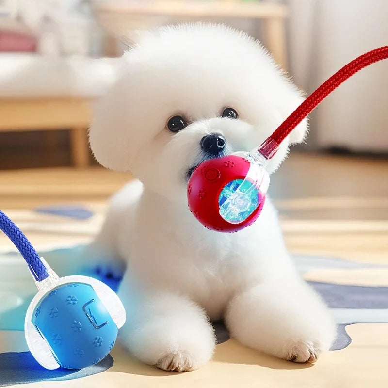 VibrollPaw Interactive Rolling Ball