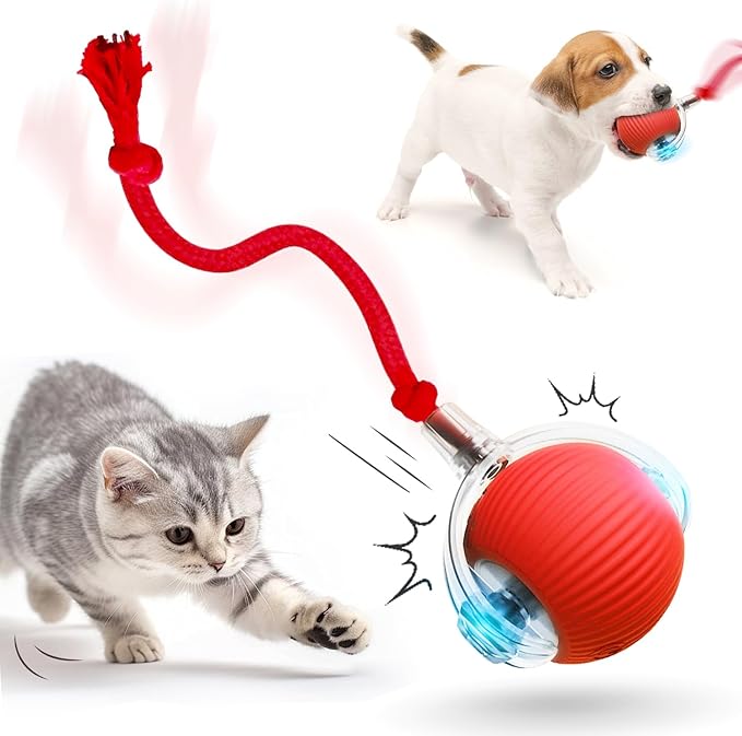 VibrollPaw Interactive Rolling Ball