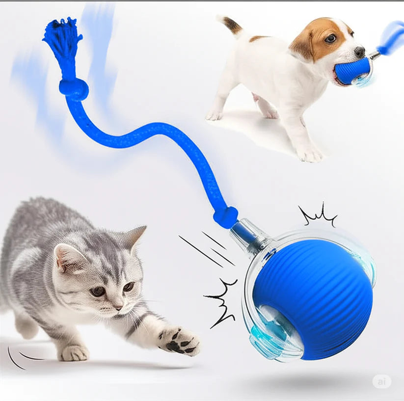VibrollPaw Interactive Rolling Ball